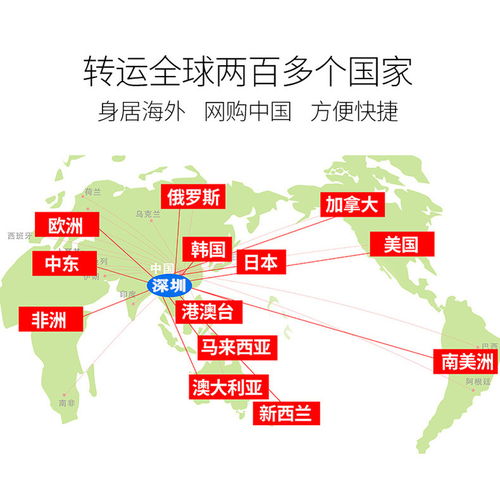 深圳货运代理 全球贸易的桥梁与引擎